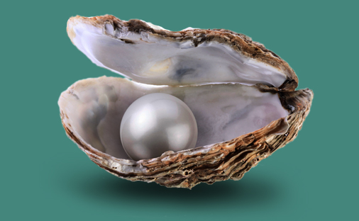 PearlSlider01